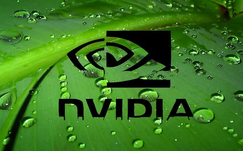 NVIDIA's Record Surge: An Analysis of the Catalysts and the Valuation