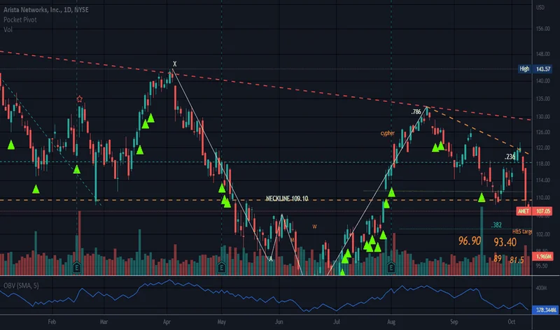 Arista Networks (ANET) Stock: Price Fluctuations and Investor Sentiment