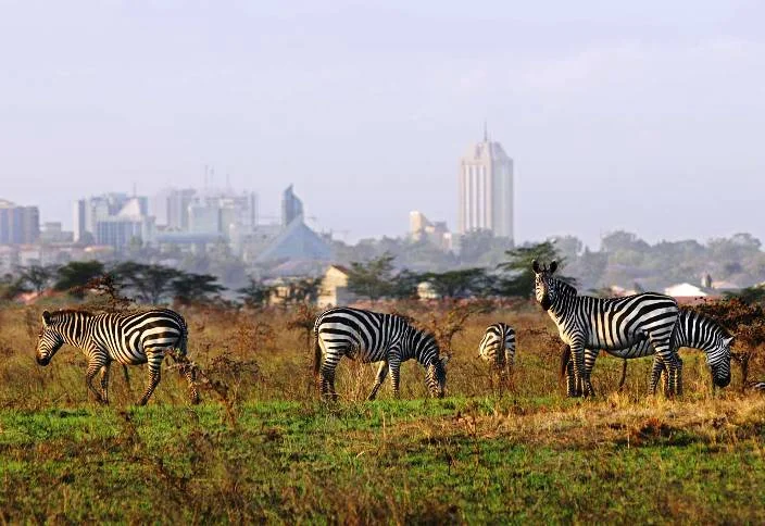 Nairobi: What Time It Is and Why You Should Care